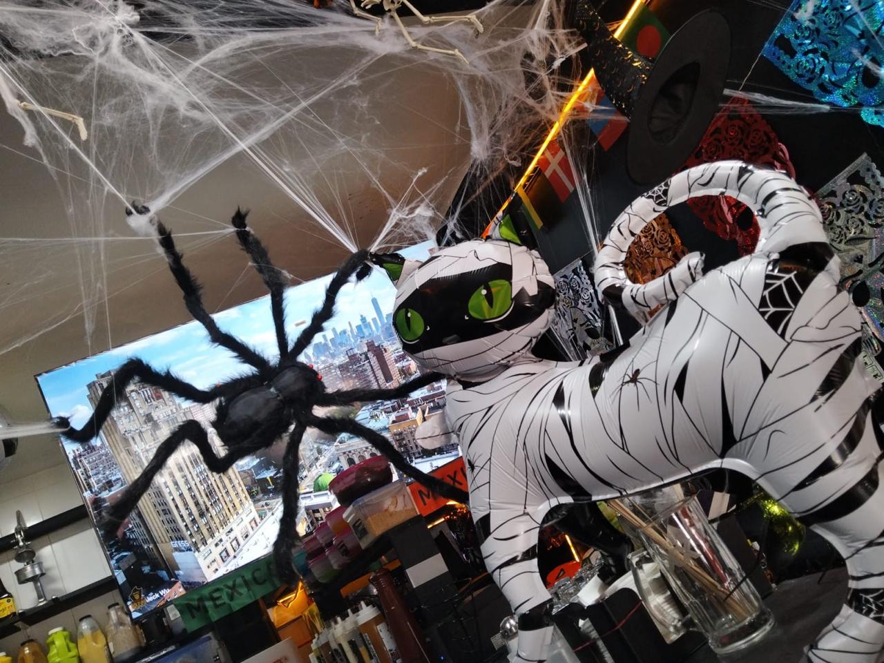 Gato momificado y araña gigante en Gorila Papas Sport